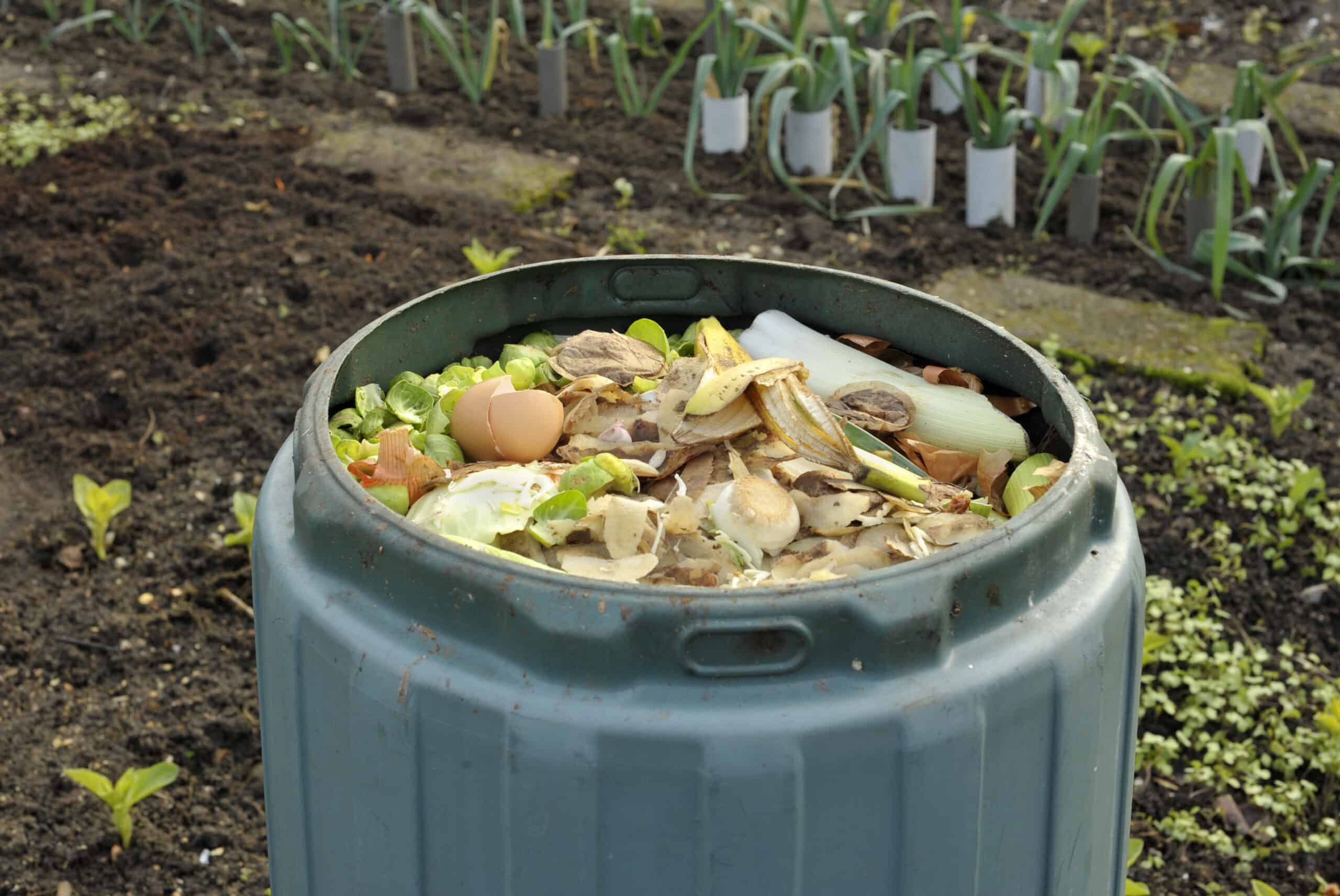 DIY: Make your own compost at home - iFOREST - International Forum for  Environment, Sustainability & Technology