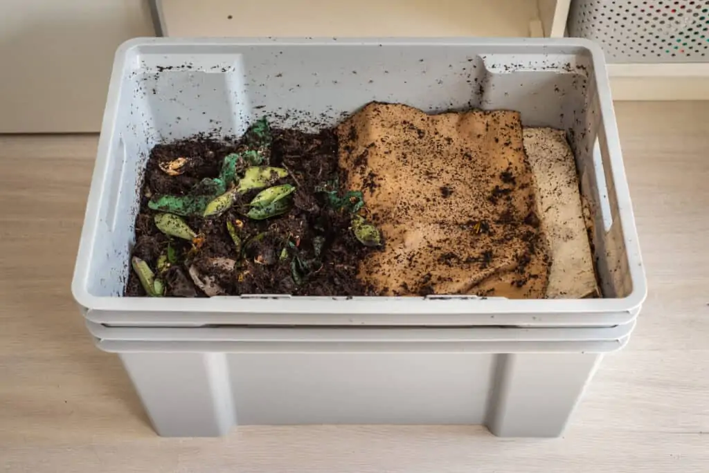 vermicomposting worm bin method