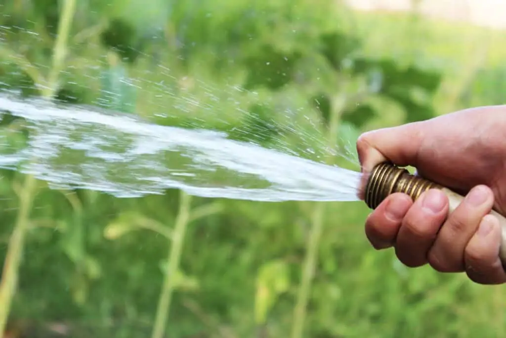 watering compost