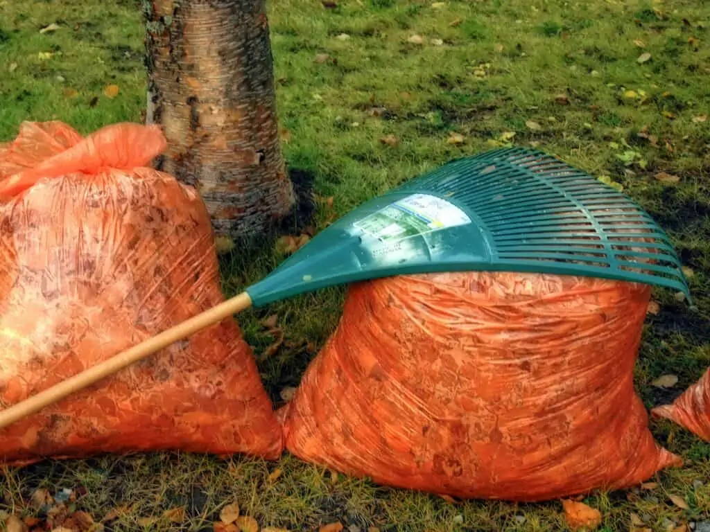 bags of leaves for composting