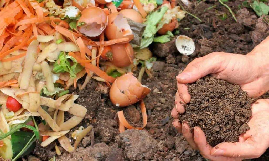 browns vs green compost kickstart