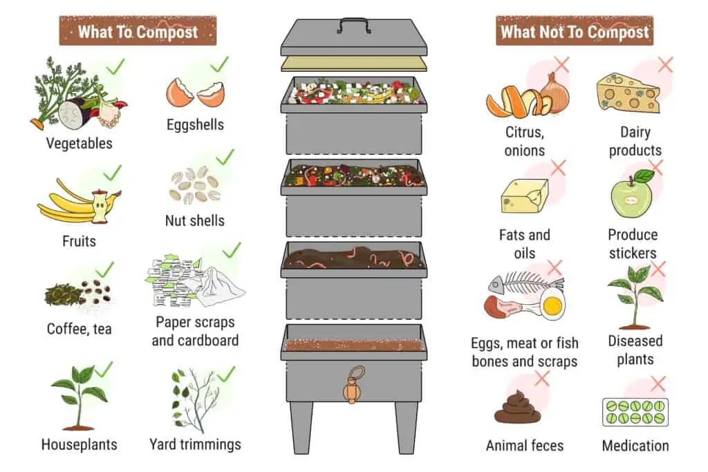 what to feed worms for compost