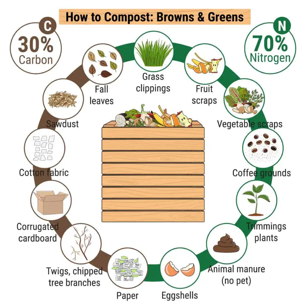 composting ratios infographic