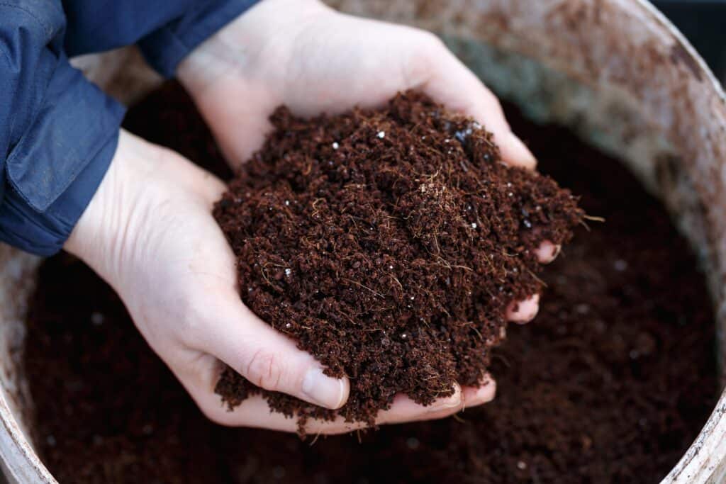 Compost vs Potting Soil Understanding the Differences